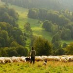 Remmen op steile afdalingen: MTB remtechniek
